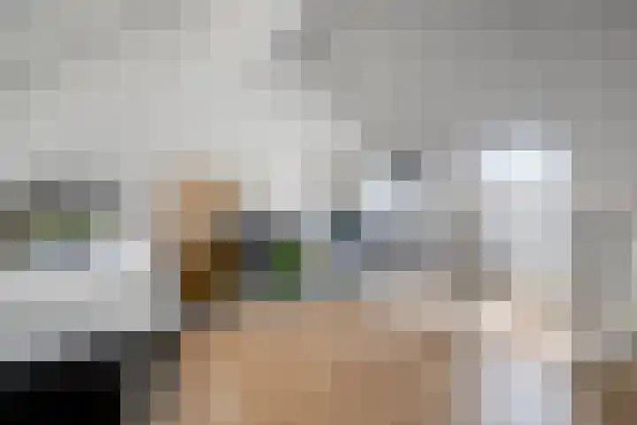 Anthuriumsingel 47 Berkel en Rodenrijs thumbnail 34