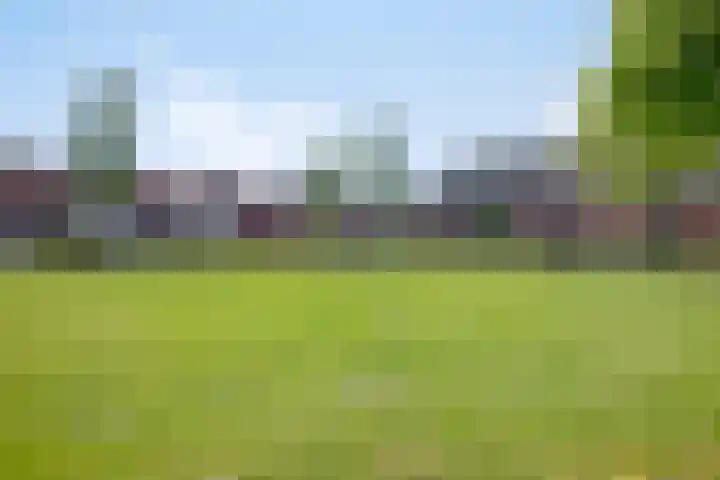 Anthuriumsingel 47 Berkel en Rodenrijs thumbnail 35