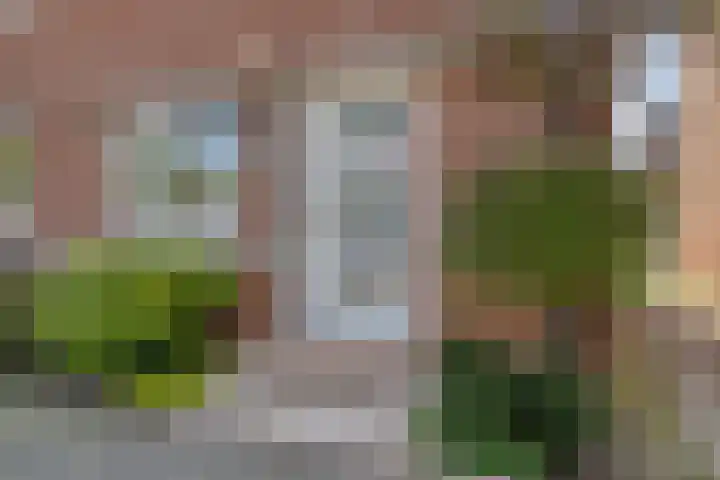 Anthuriumsingel 47 Berkel en Rodenrijs thumbnail 4
