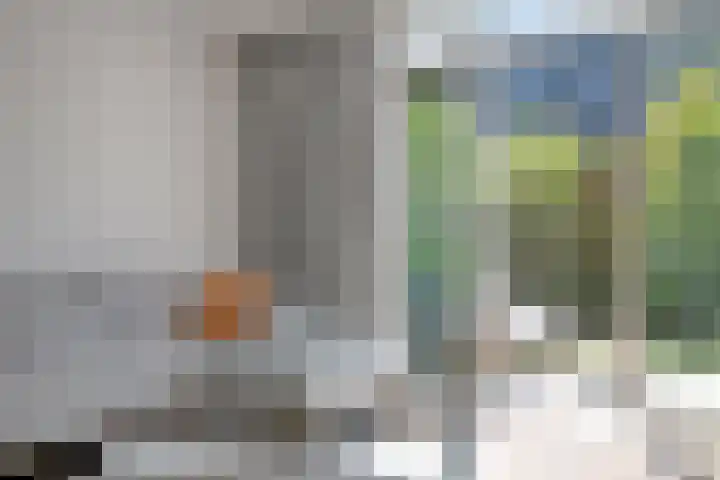 Anthuriumsingel 47 Berkel en Rodenrijs thumbnail 7