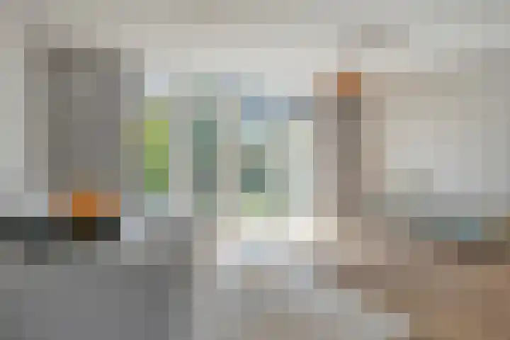 Anthuriumsingel 47 Berkel en Rodenrijs thumbnail 8