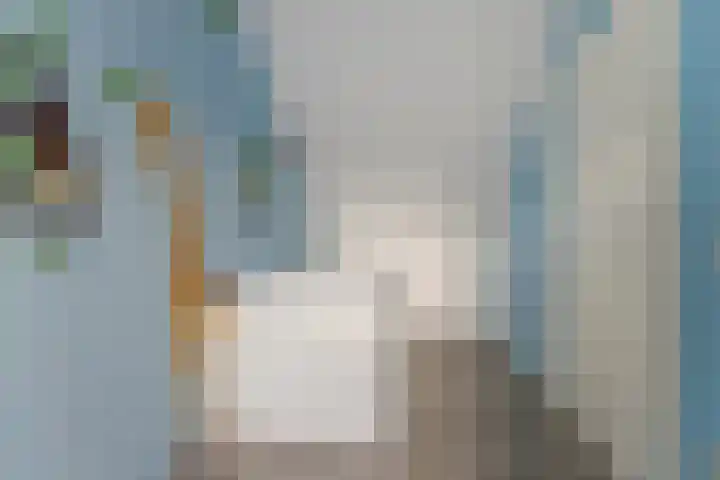 Anthuriumsingel 63 Berkel en Rodenrijs thumbnail 33