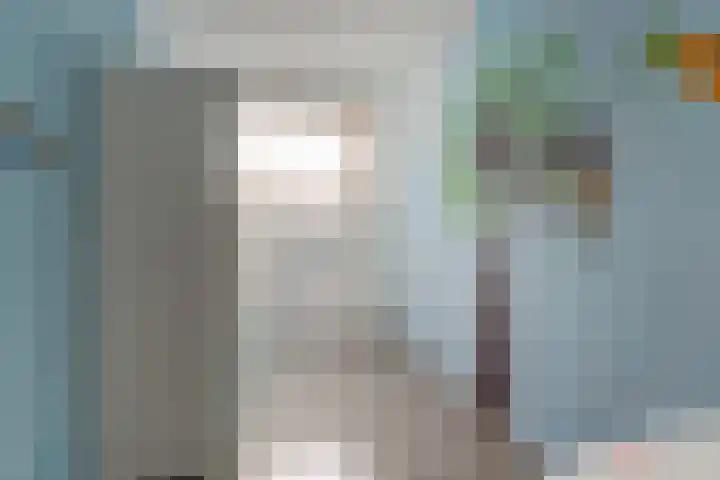Anthuriumsingel 63 Berkel en Rodenrijs thumbnail 34