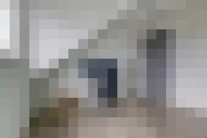 Anthuriumsingel 63 Berkel en Rodenrijs thumbnail 39
