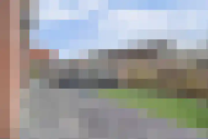 Anthuriumsingel 63 Berkel en Rodenrijs thumbnail 45