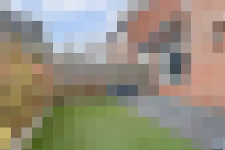 Anthuriumsingel 63 Berkel en Rodenrijs thumbnail 53