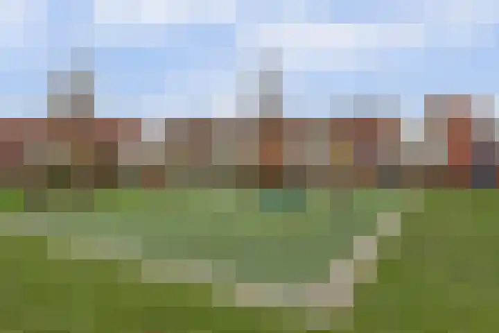 Anthuriumsingel 63 Berkel en Rodenrijs thumbnail 56