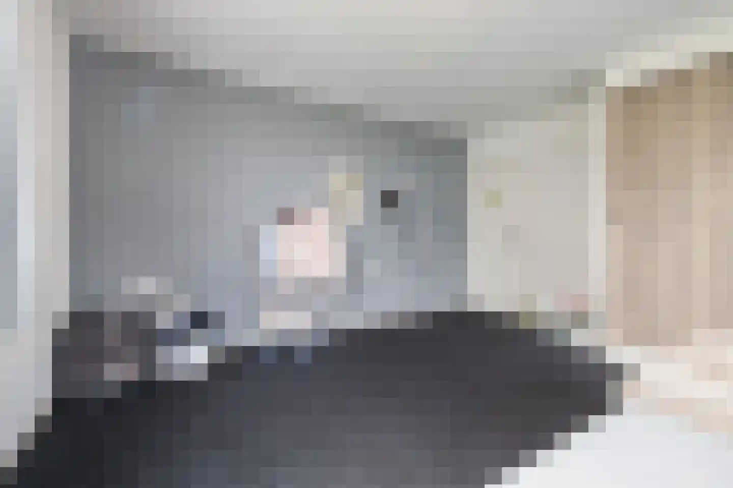 Anthuriumweg 23 Bleiswijk thumbnail 12