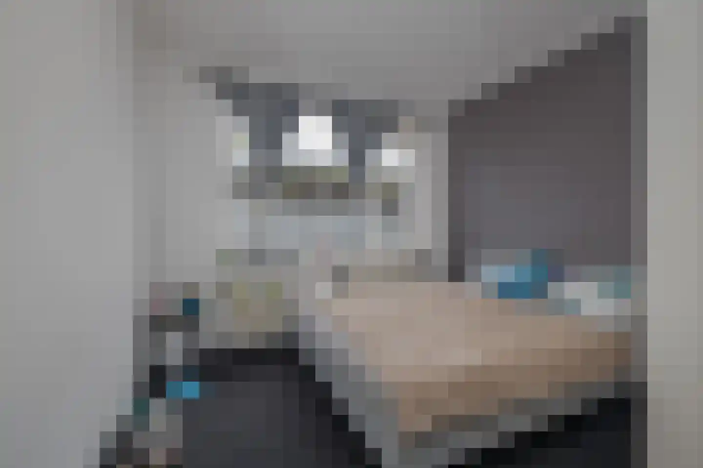 Anthuriumweg 23 Bleiswijk thumbnail 14
