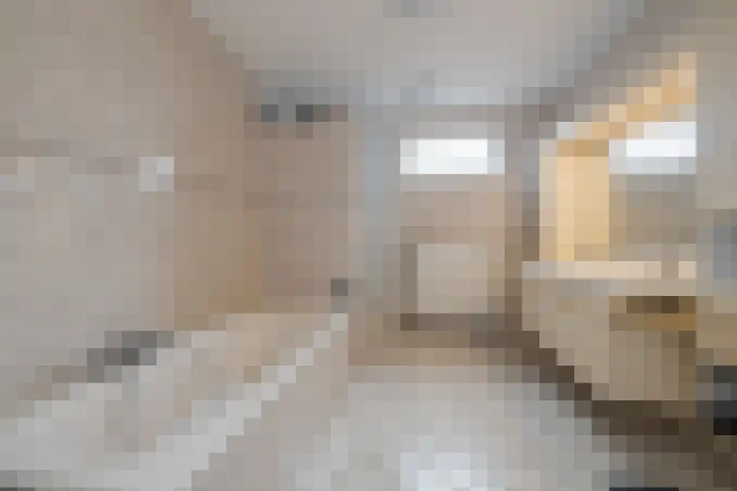 Anthuriumweg 23 Bleiswijk thumbnail 15