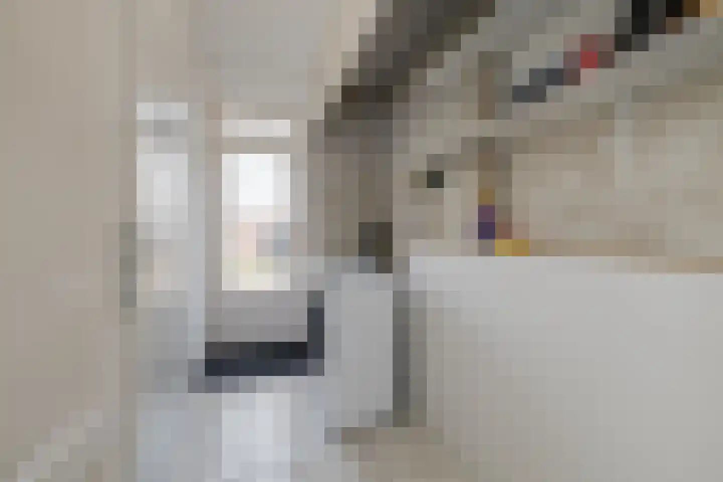 Anthuriumweg 23 Bleiswijk thumbnail 17