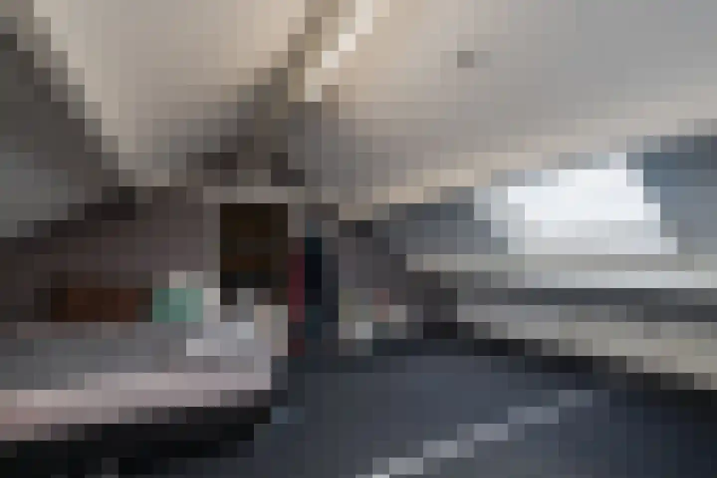 Anthuriumweg 23 Bleiswijk thumbnail 21