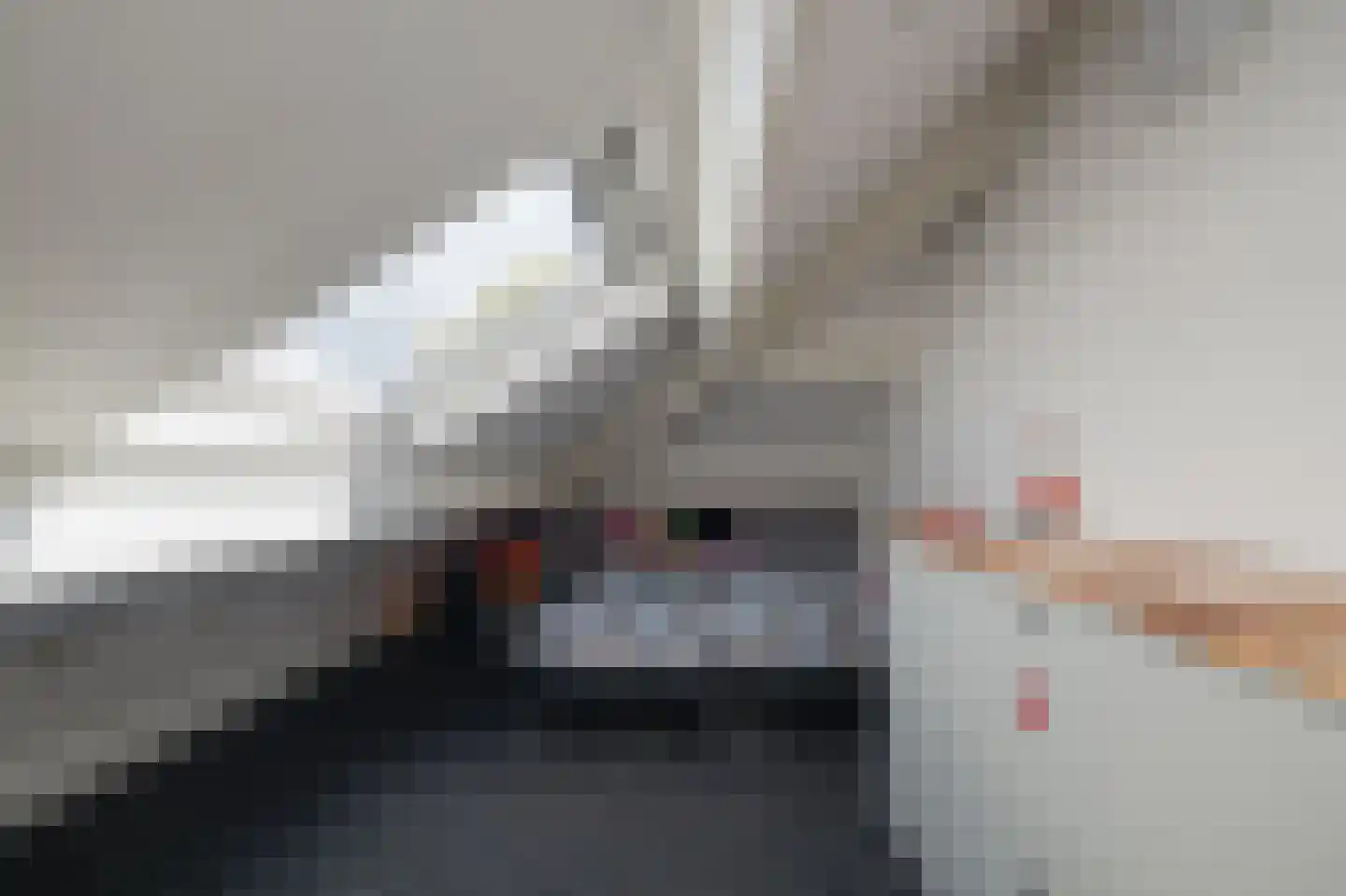 Anthuriumweg 23 Bleiswijk thumbnail 23