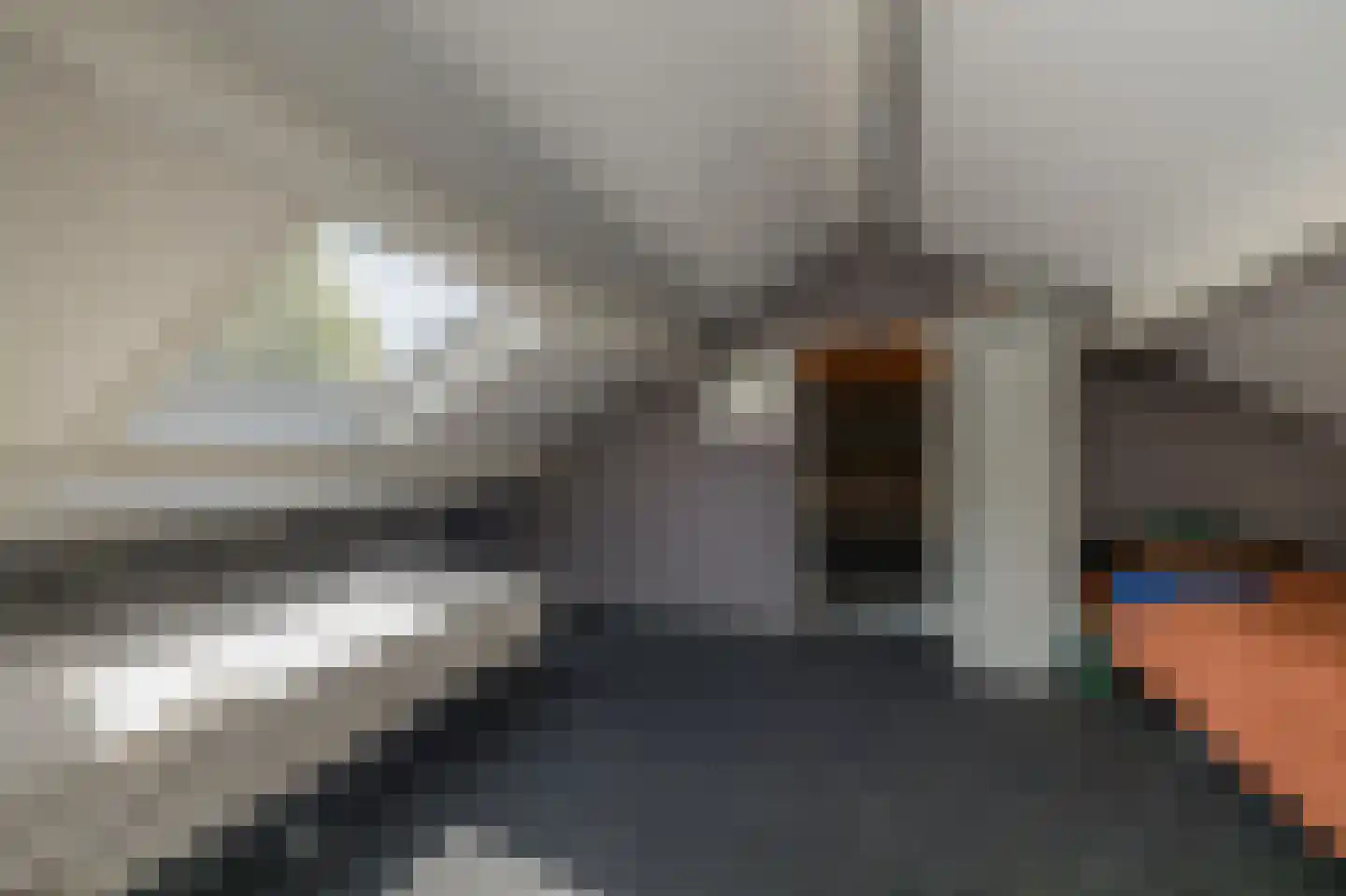 Anthuriumweg 23 Bleiswijk thumbnail 25