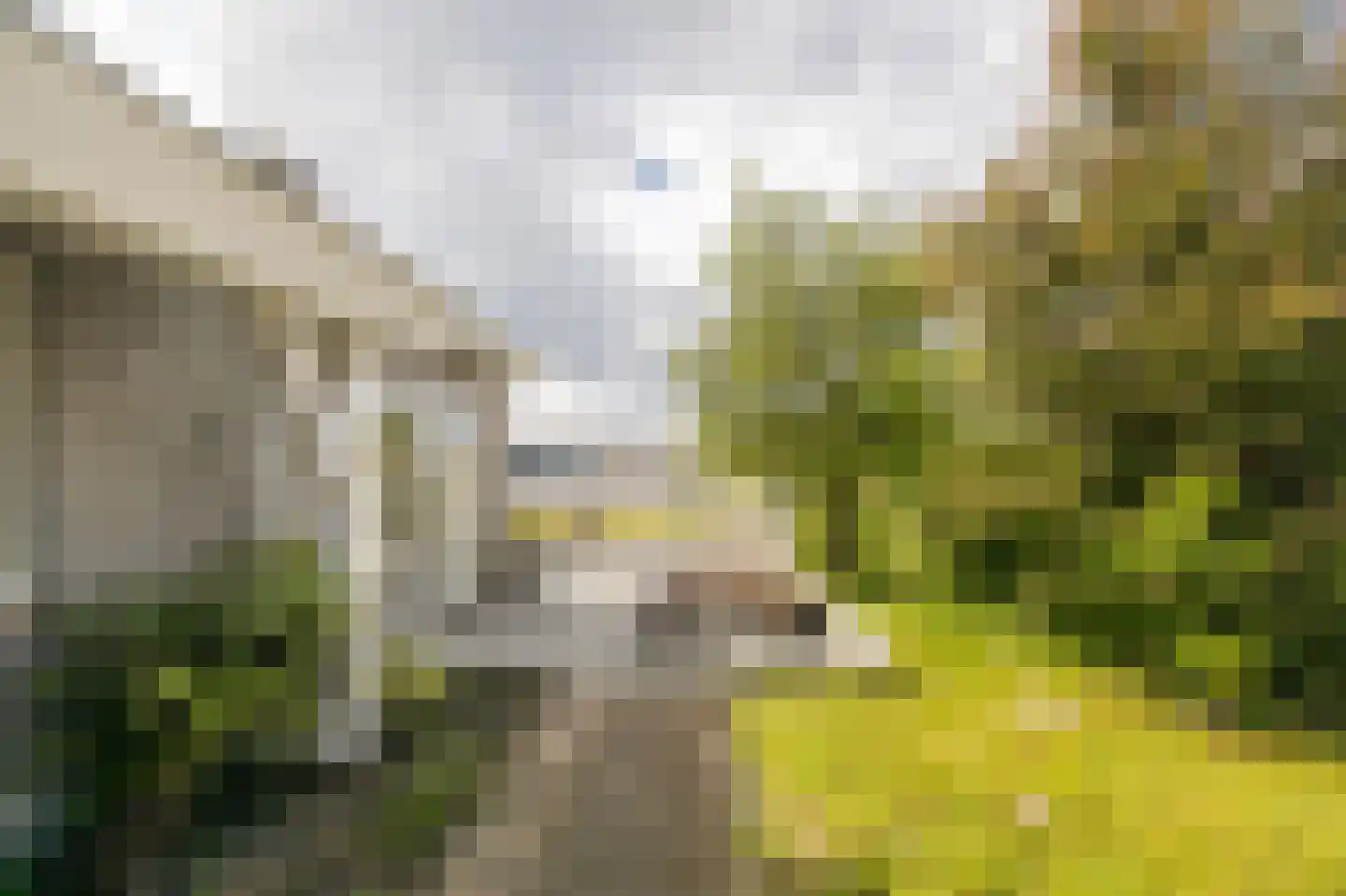Anthuriumweg 23 Bleiswijk thumbnail 32
