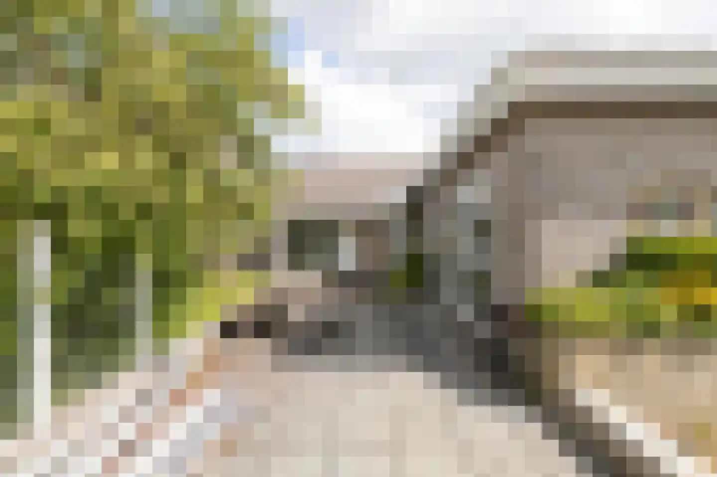 Anthuriumweg 23 Bleiswijk thumbnail 33