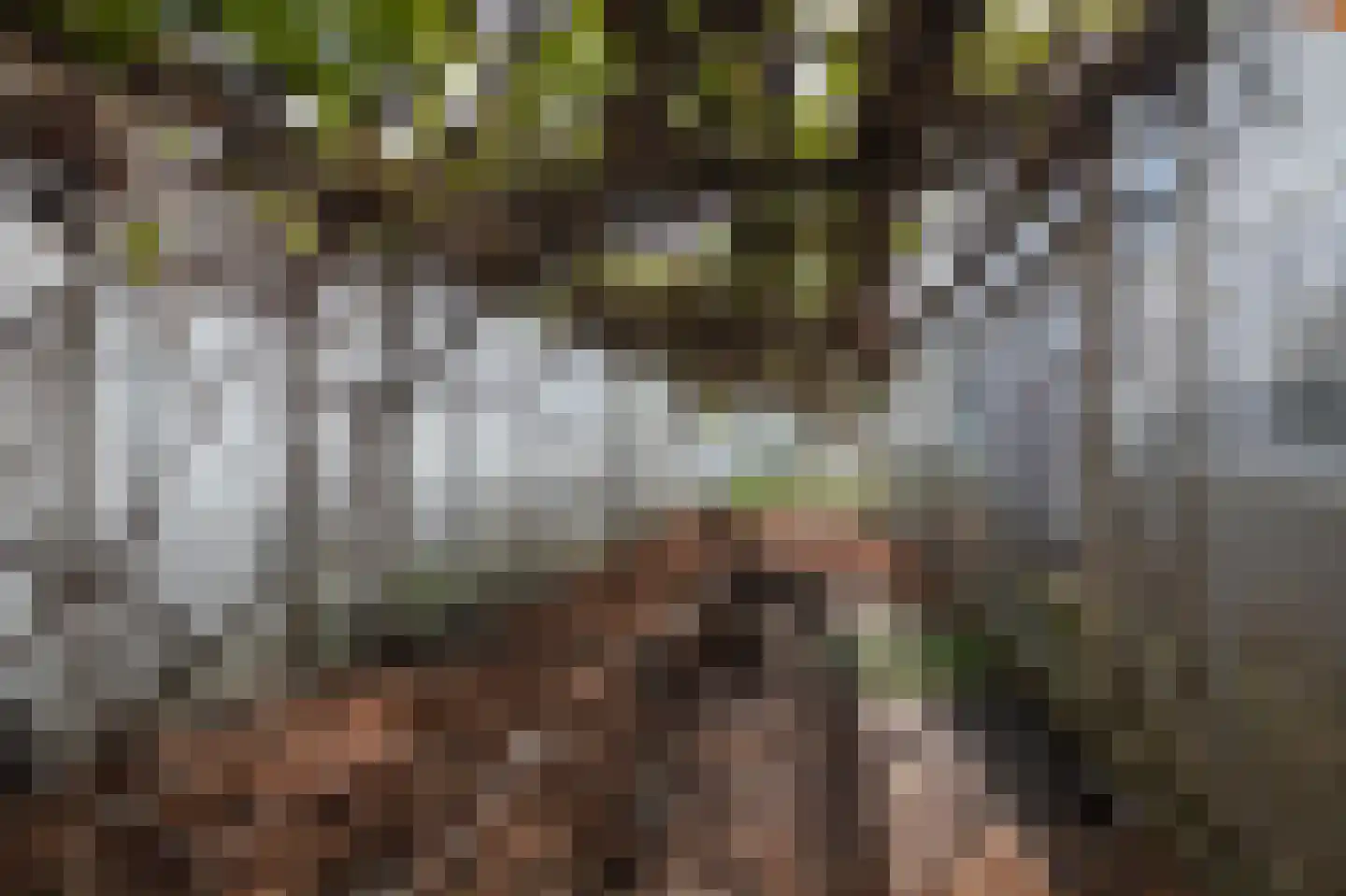 Anthuriumweg 23 Bleiswijk thumbnail 35