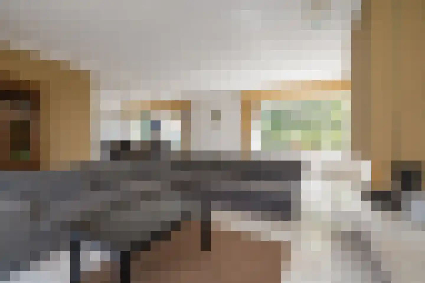 Anthuriumweg 23 Bleiswijk thumbnail 5