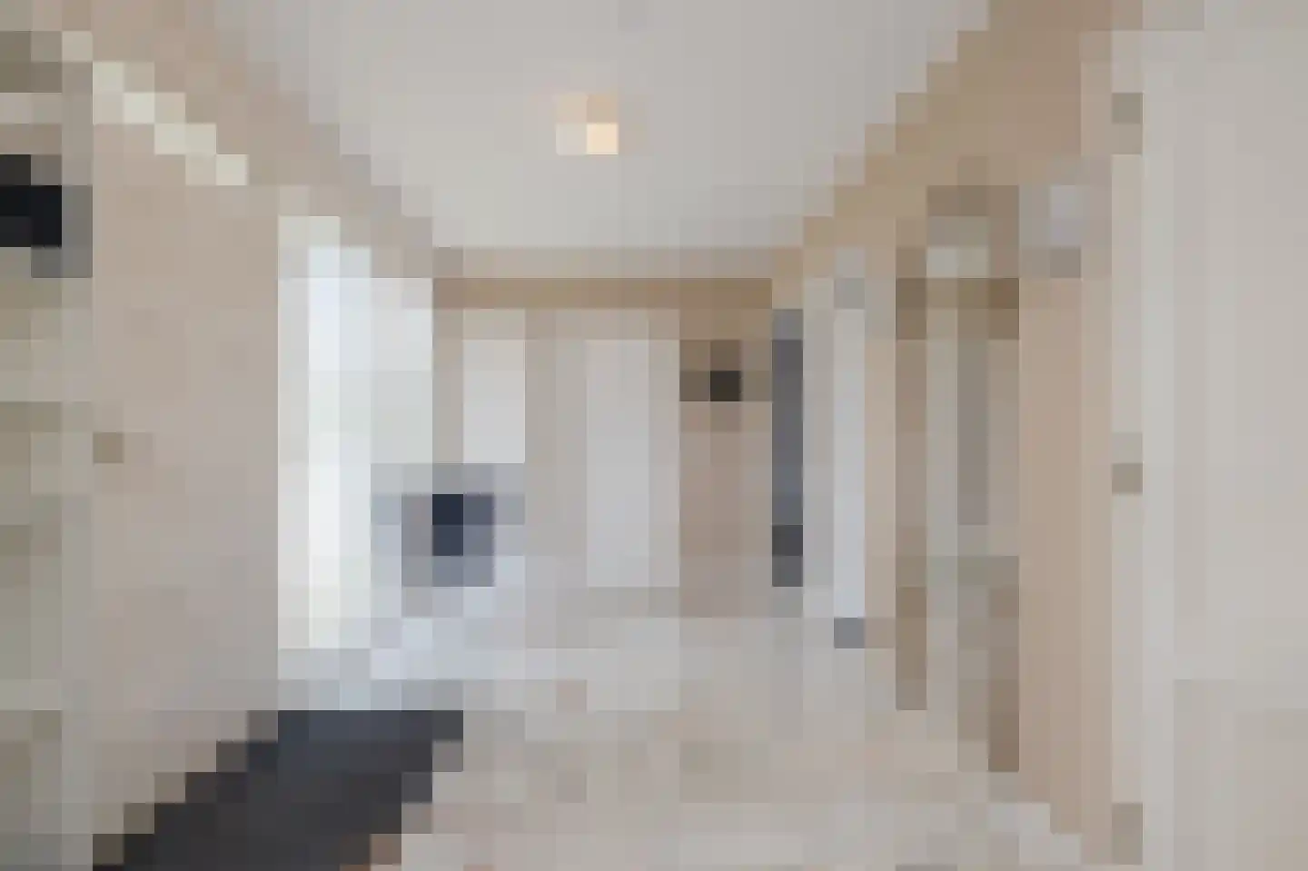 Anthuriumweg 23 Bleiswijk thumbnail 9