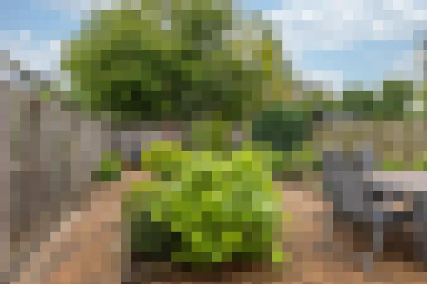 Antiguastraat 33 Almere thumbnail 32