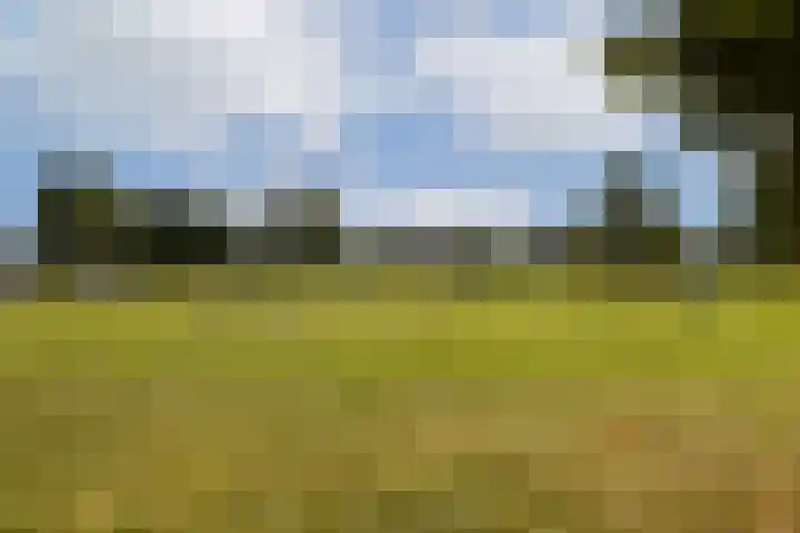 Antiguastraat 34 Almere thumbnail 24
