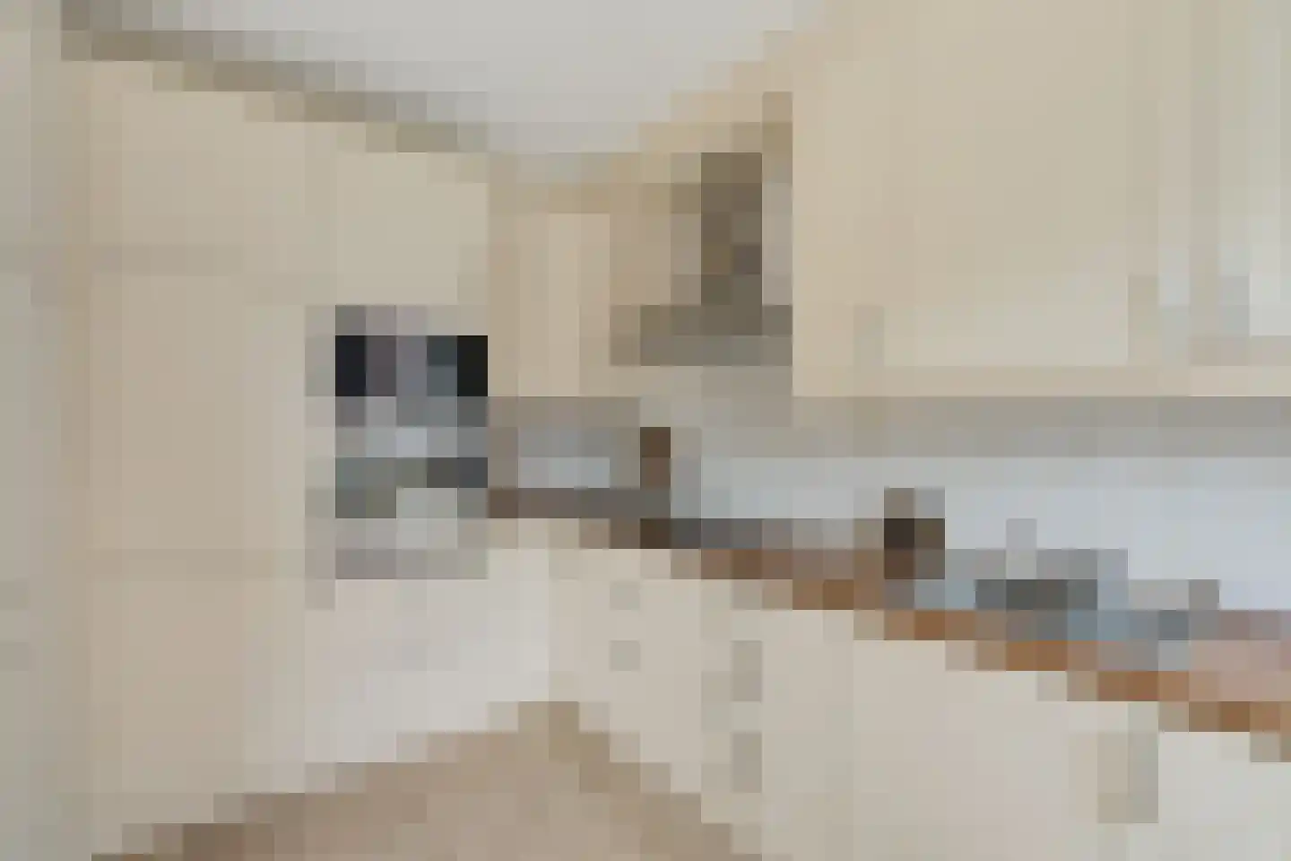 Antillen 34 Utrecht thumbnail 14