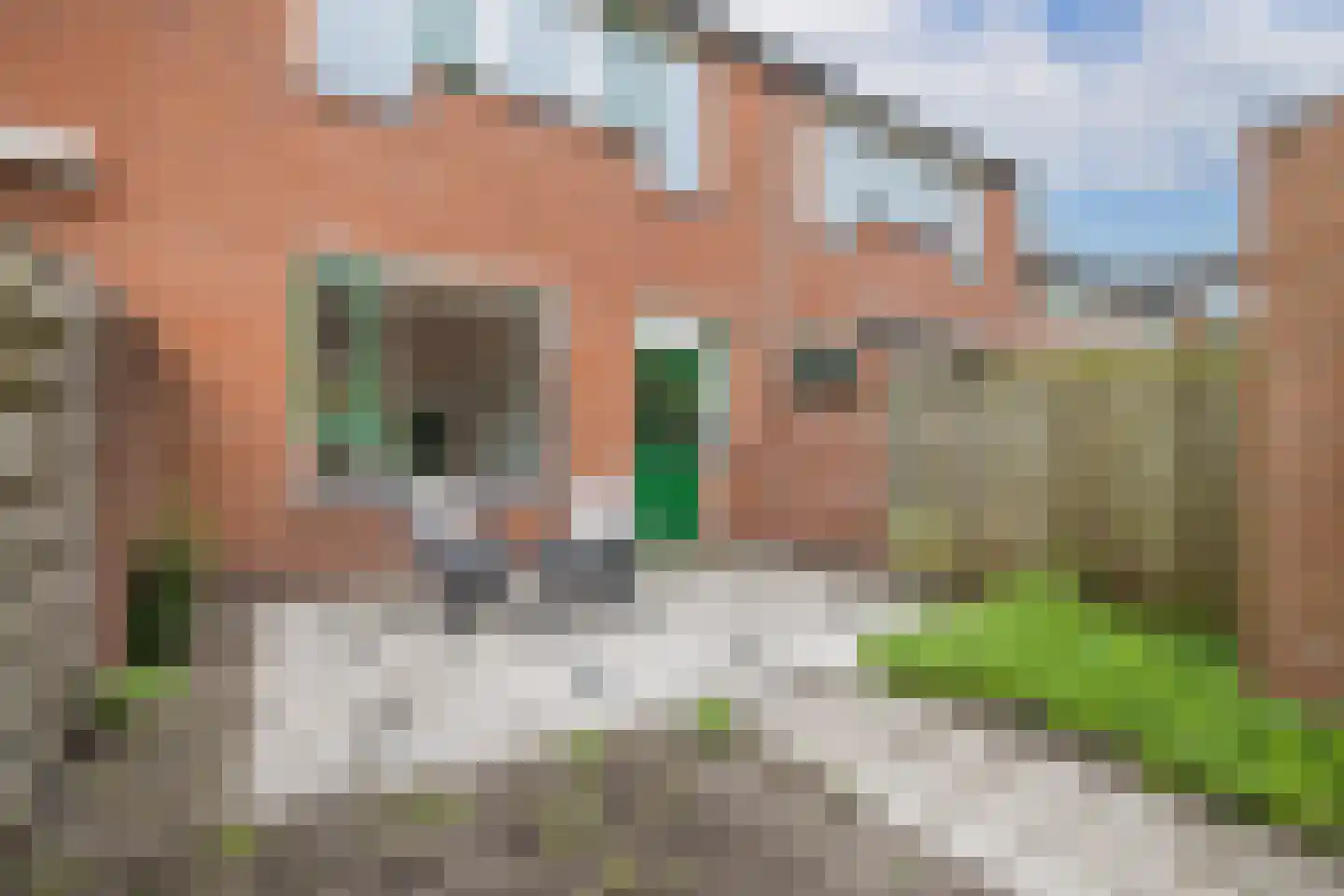 Antillen 34 Utrecht thumbnail 19