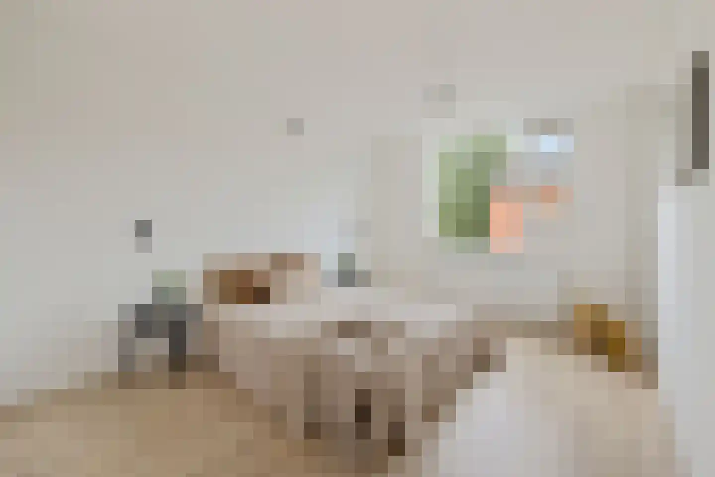 Antillen 34 Utrecht thumbnail 21