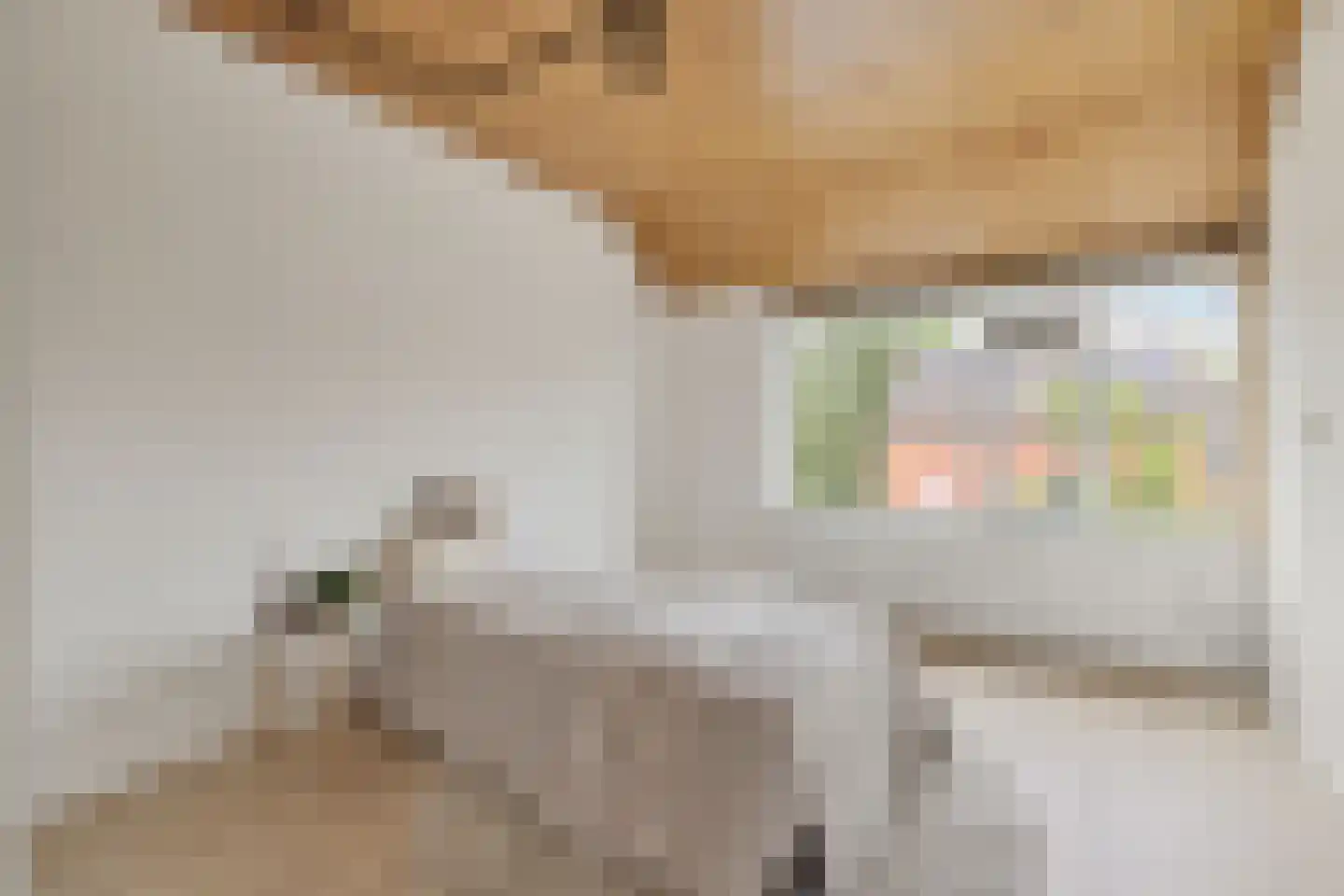 Antillen 34 Utrecht thumbnail 32