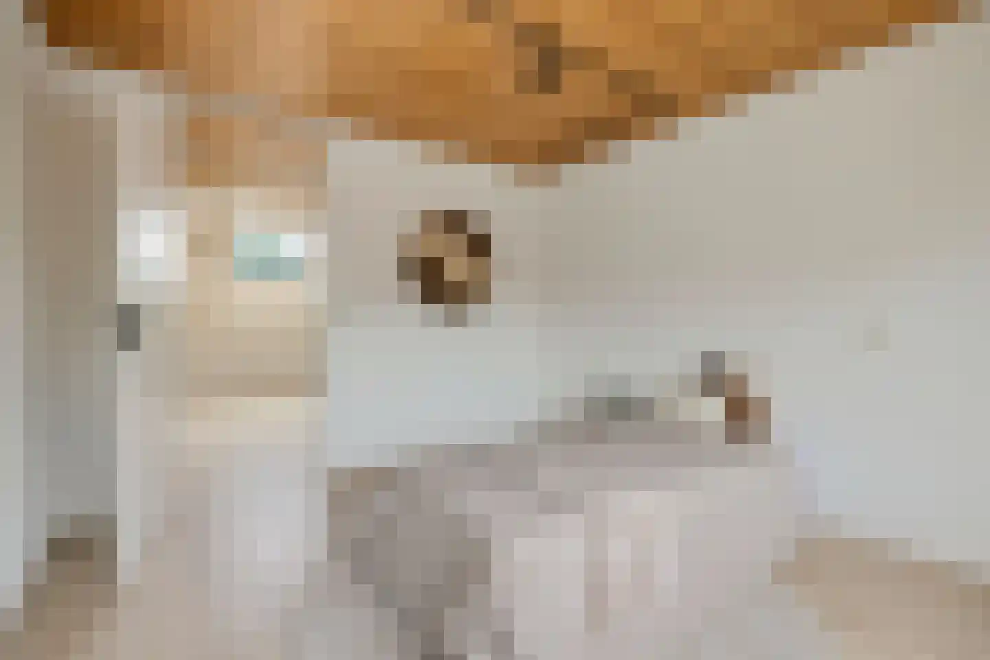 Antillen 34 Utrecht thumbnail 33