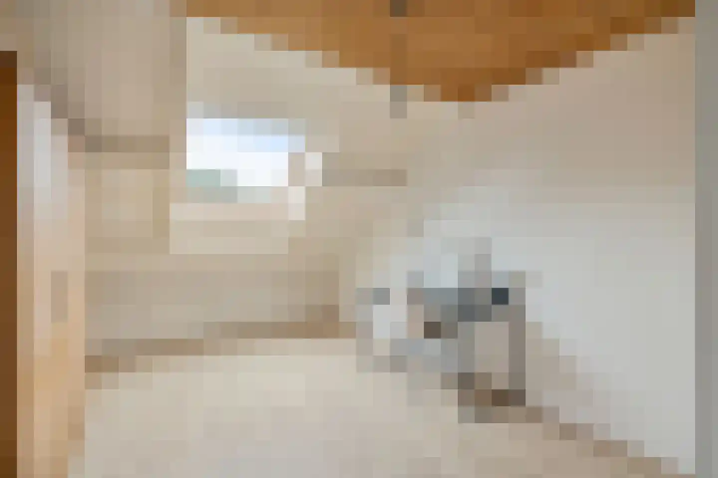 Antillen 34 Utrecht thumbnail 34