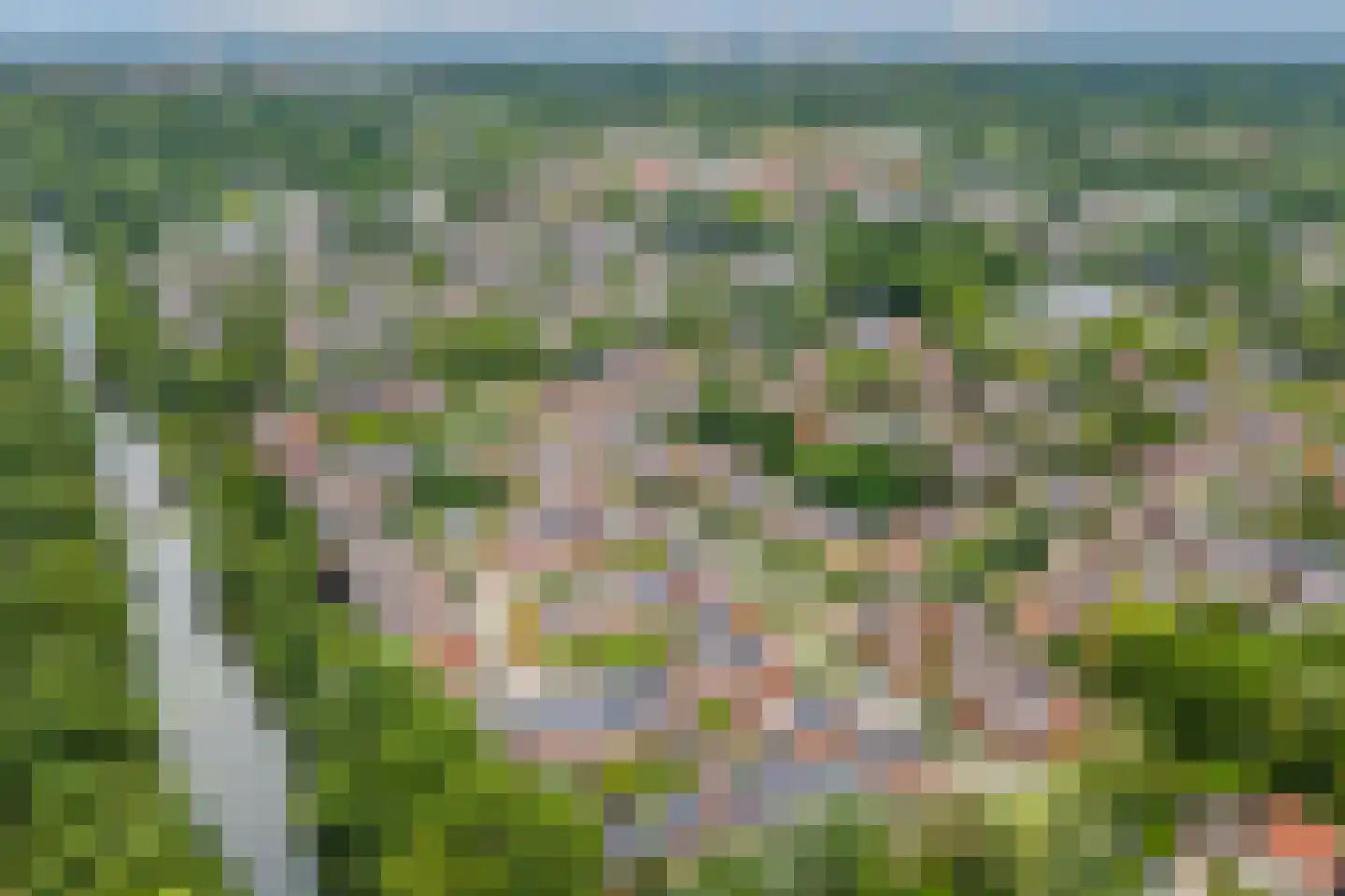 Antillen 34 Utrecht thumbnail 46