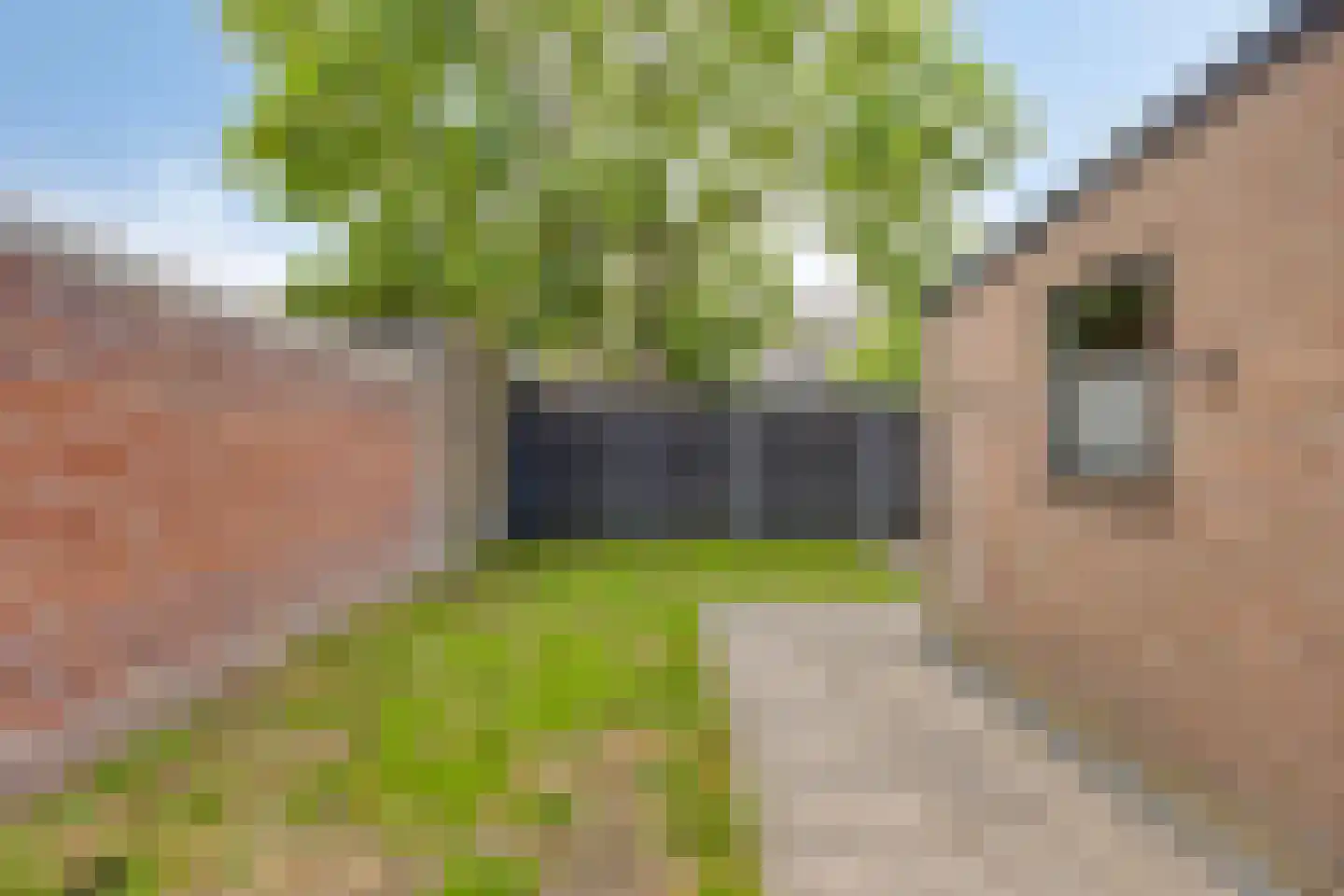 Antillenplein 10 Tilburg thumbnail 43