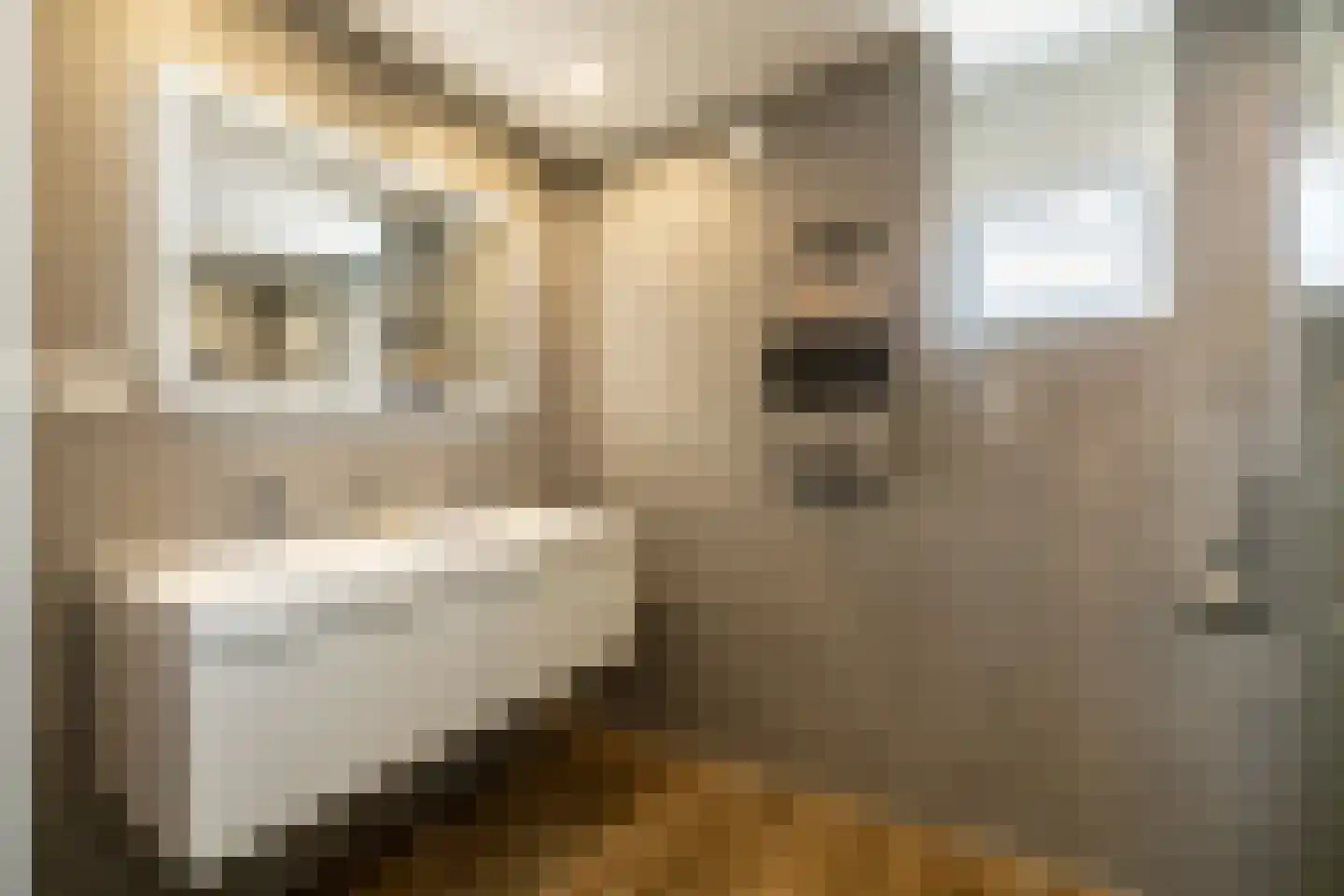 Antillenstraat 1 Purmerend thumbnail 29