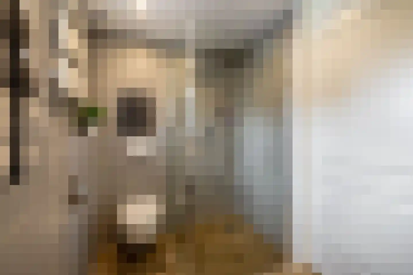Antillenstraat 1 Purmerend thumbnail 32