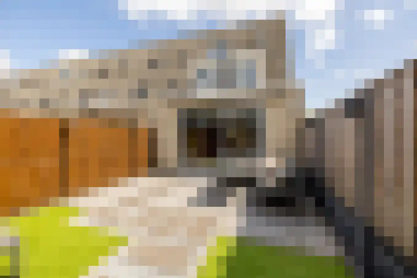 Antillenstraat 1 Purmerend thumbnail 7