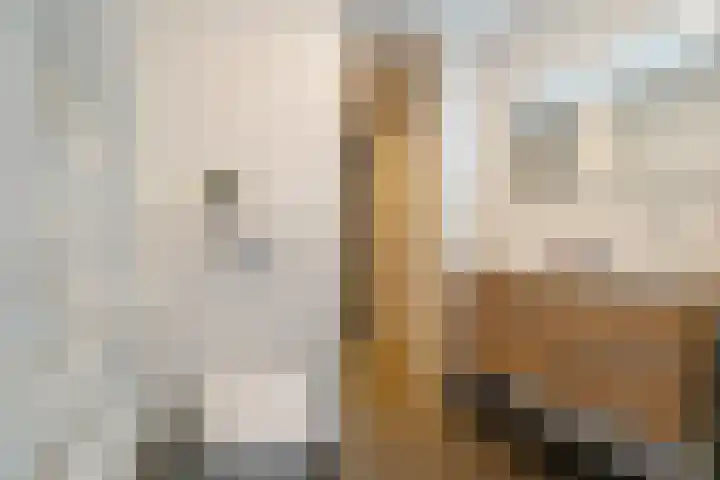 Antillenstraat 2 5 Groningen thumbnail 36