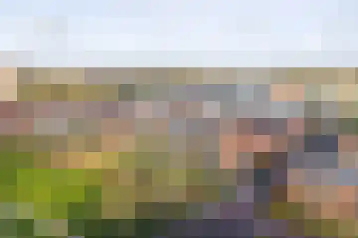 Antillenstraat 2 5 Groningen thumbnail 48