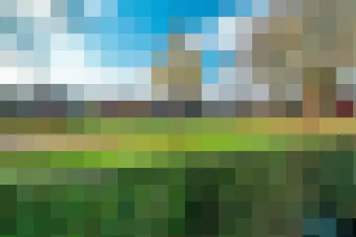 Antillenstraat 2 5 Groningen thumbnail 5
