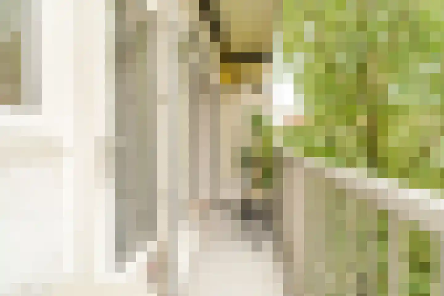 Antillenstraat 37 3 Amsterdam thumbnail 18