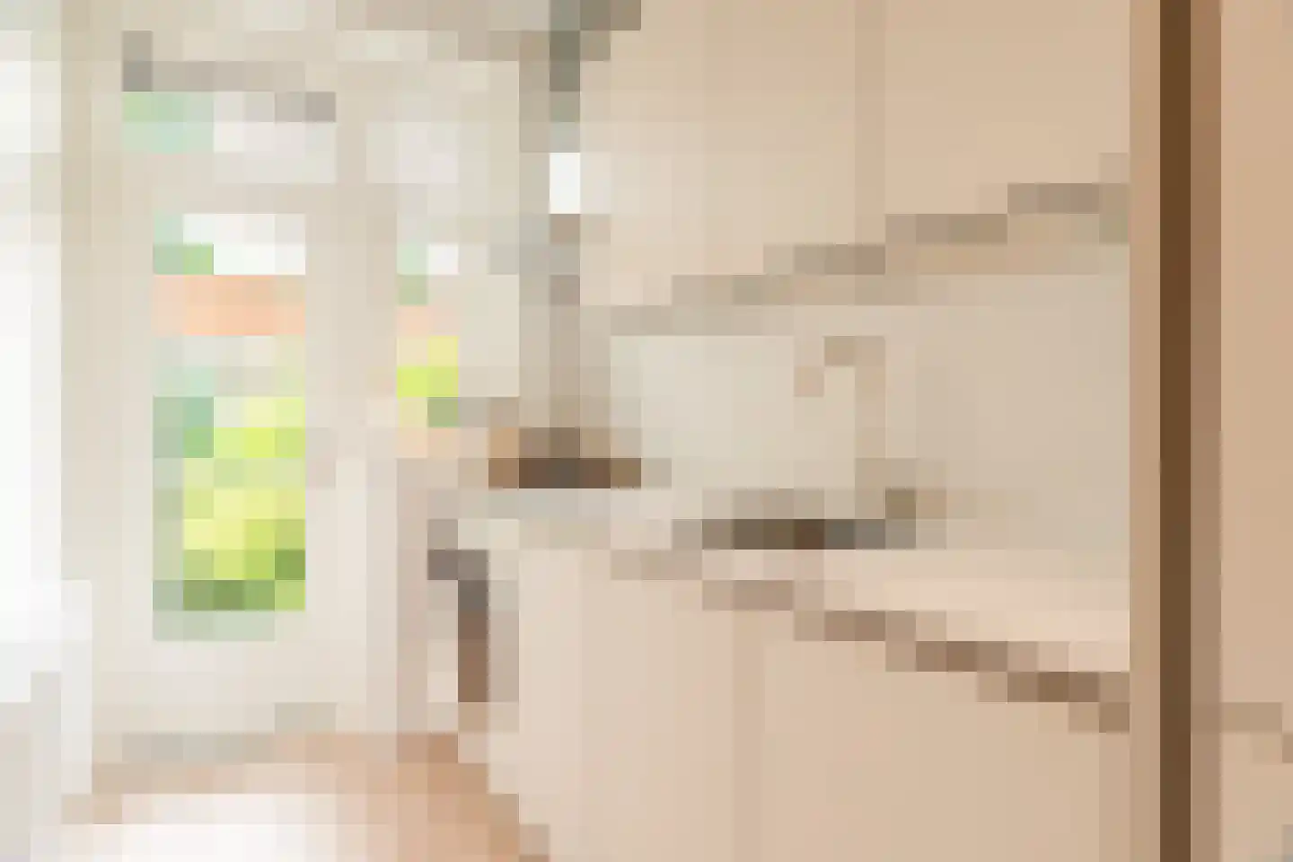 Antillenstraat 37 3 Amsterdam thumbnail 8