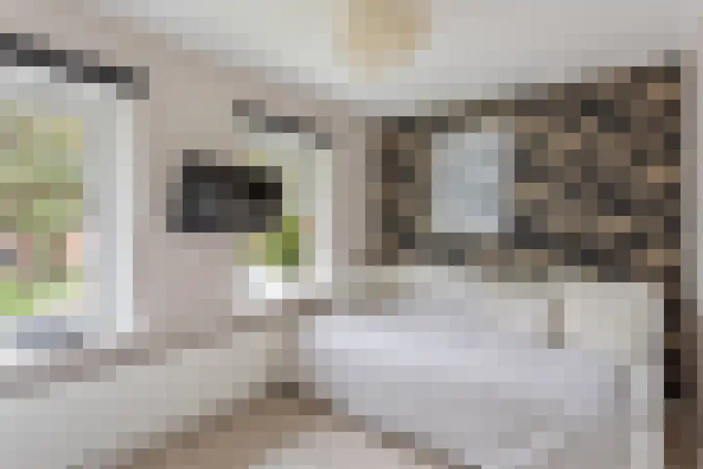 Antillenstraat 42 Hengelo thumbnail 14
