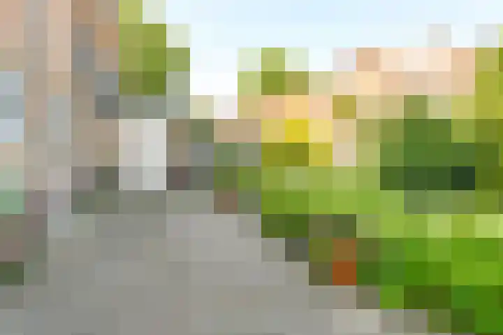 Antillenstraat 7 Santpoort-Noord thumbnail 4