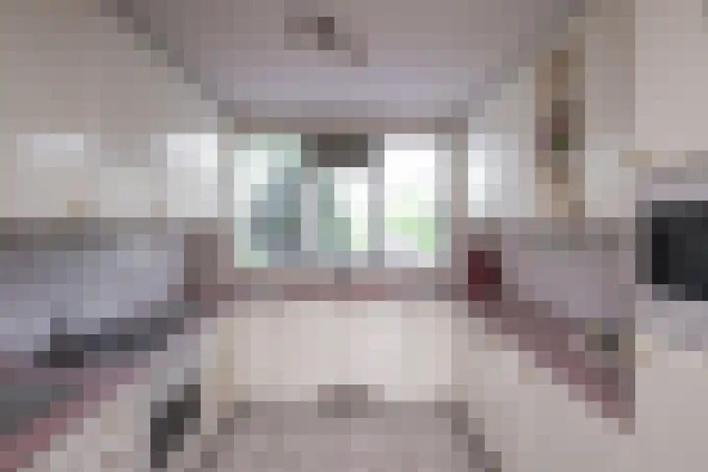 Antillenstroom 21 Huizen thumbnail 15