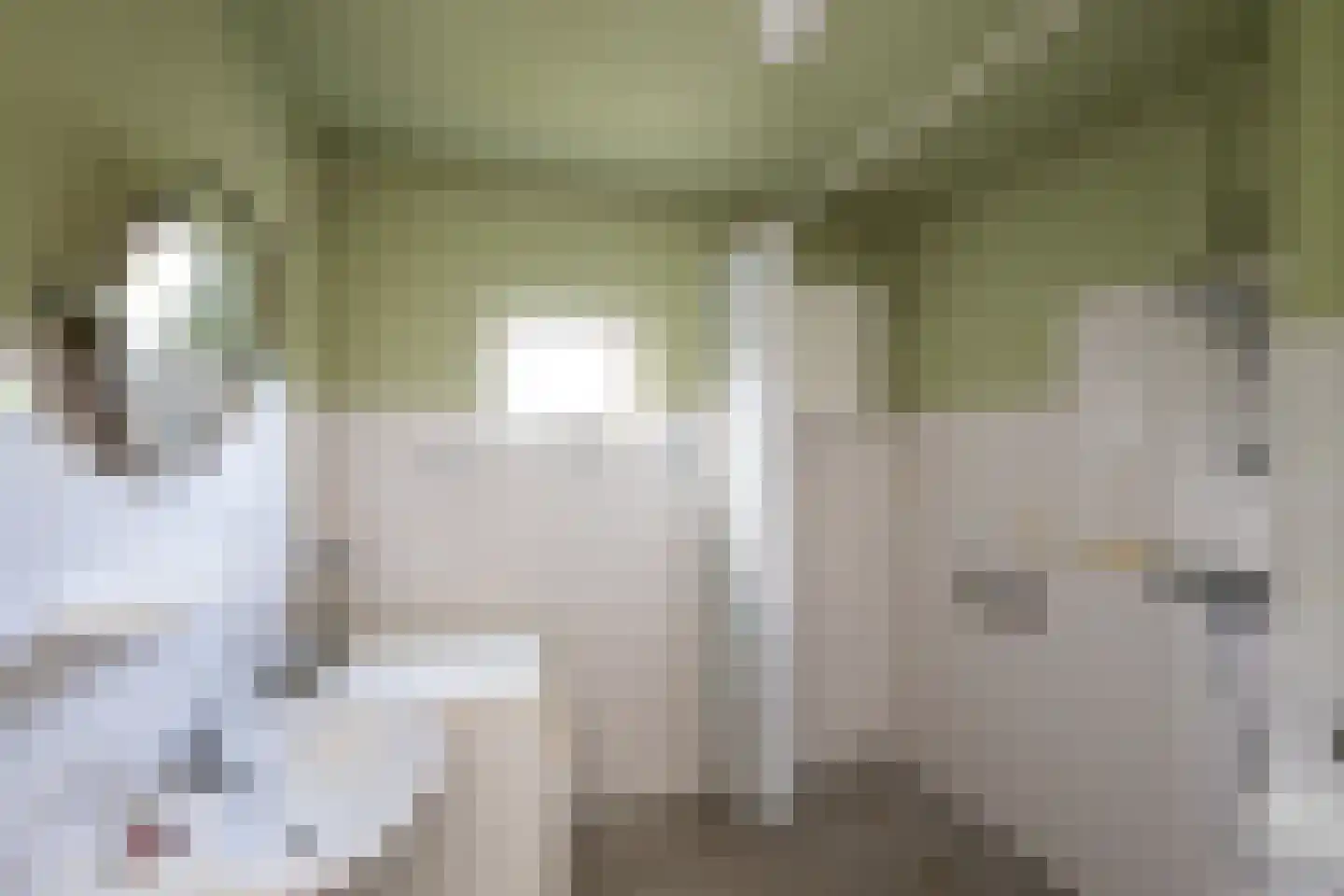 Antillenstroom 21 Huizen thumbnail 31
