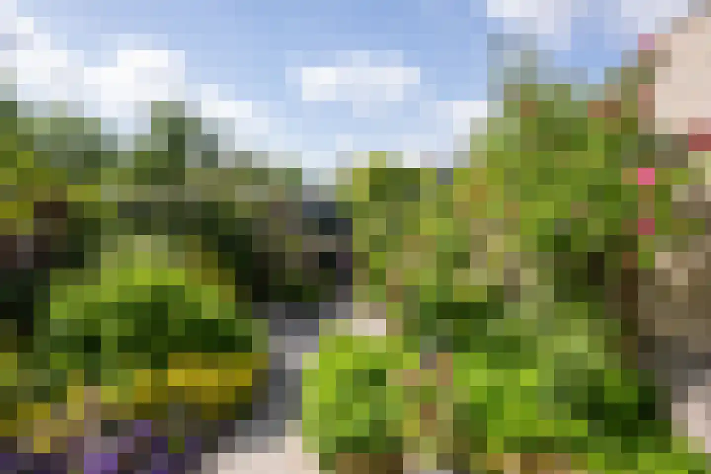 Antillenstroom 21 Huizen thumbnail 8