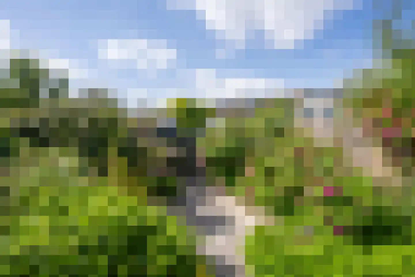 Antillenstroom 21 Huizen thumbnail 9