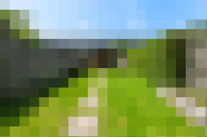 Antillenstroom 8 Huizen thumbnail 12