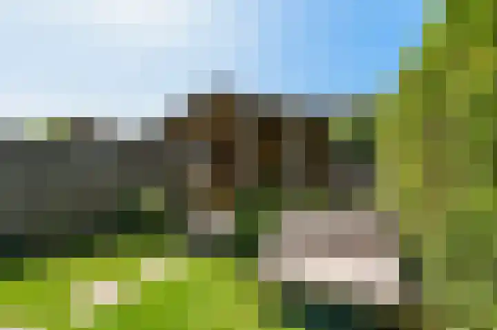 Antillenstroom 8 Huizen thumbnail 13