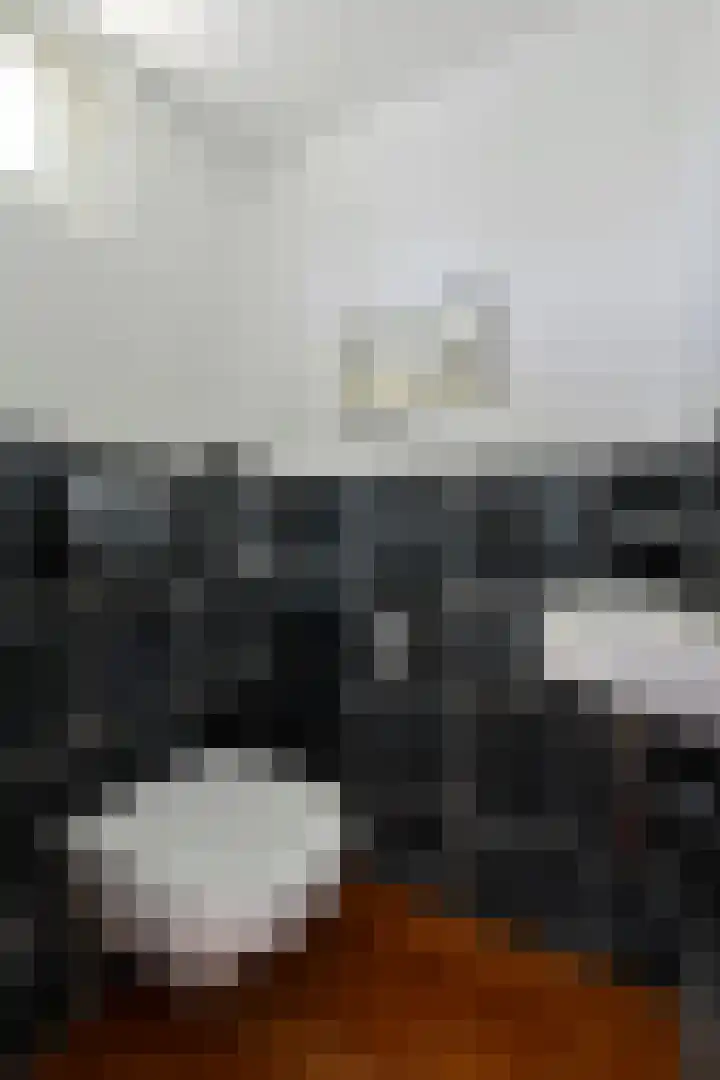 Antillenstroom 8 Huizen thumbnail 15